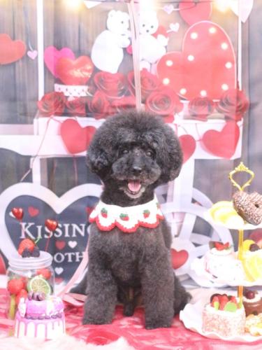 20250201ラブくん